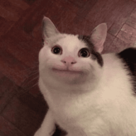 _samuel_