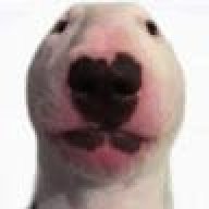 bortocel