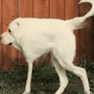 motion6969