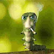 raz3bov