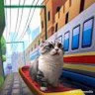 mark_bodro