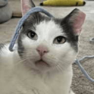 franz