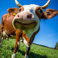 user885325