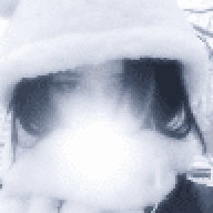 alen1337