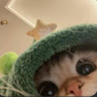 louyse