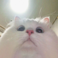 srylmgood