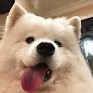 null13