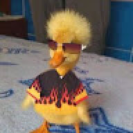 cooqr