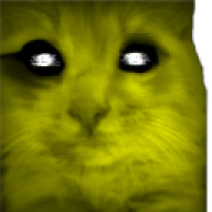 bekkaa