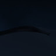 Lilp_76541