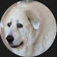 chadalyx