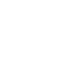 vizary