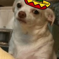 Amigo