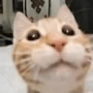 cdngsodsr