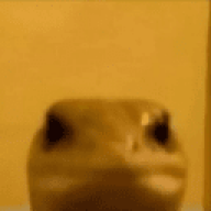 EyCnn