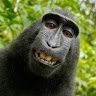 monkeyYy