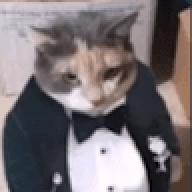 thebabypanda524