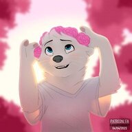 danzuk