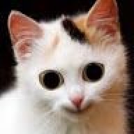 czrnyxd