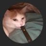 Nikcats