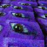 torrent