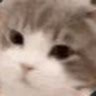 vrabec