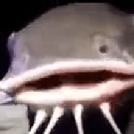 zbwp
