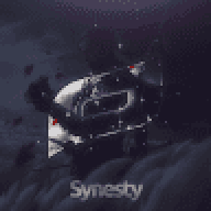 synesty