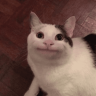 _samuel_