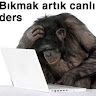 utkukck13