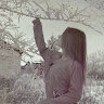 Andromeda_One