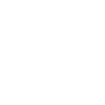 vizary