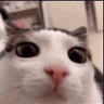 UWU_xDDD
