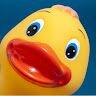 duckdestroyer
