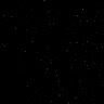 Cshark__