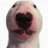 bortocel
