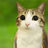 meowl