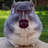 githubguy1