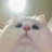 srylmgood