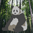 Panduh