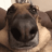 Gurbe