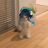 JustCat