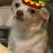 Amigo