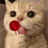 Lolmp3