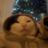 hqncpc