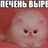 Ivan_kem