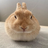 Shiba