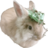 almostmeth