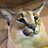 epikcatto6972