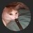 Nikcats